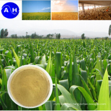 China Plant Source Amino Acid Fertilizer